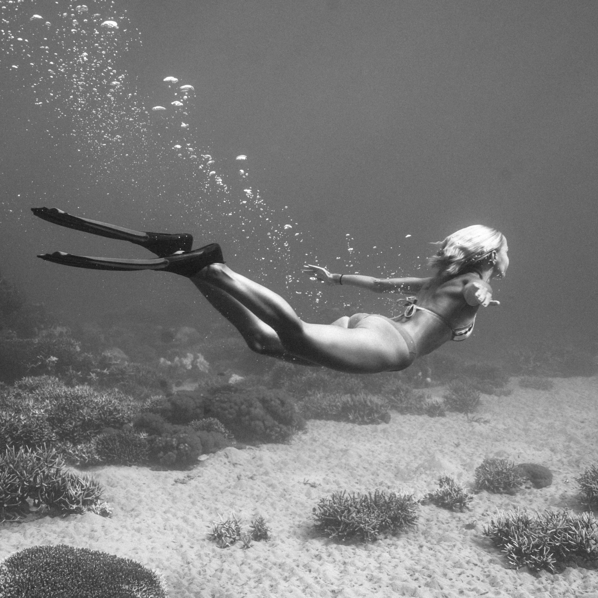 Black-and-white underwater photo of a freediver in long fins gliding over a sandy reef with bubbles trailing to the surface