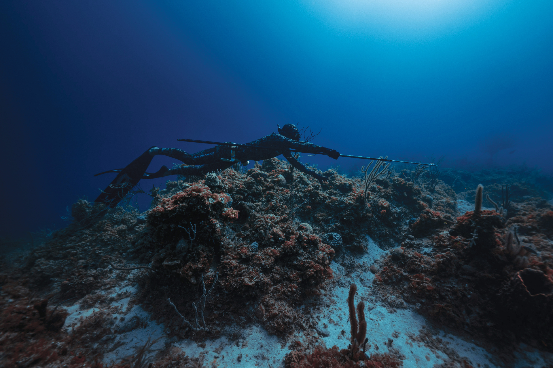 Freediver spearfishing over a deep reef under a sunburst