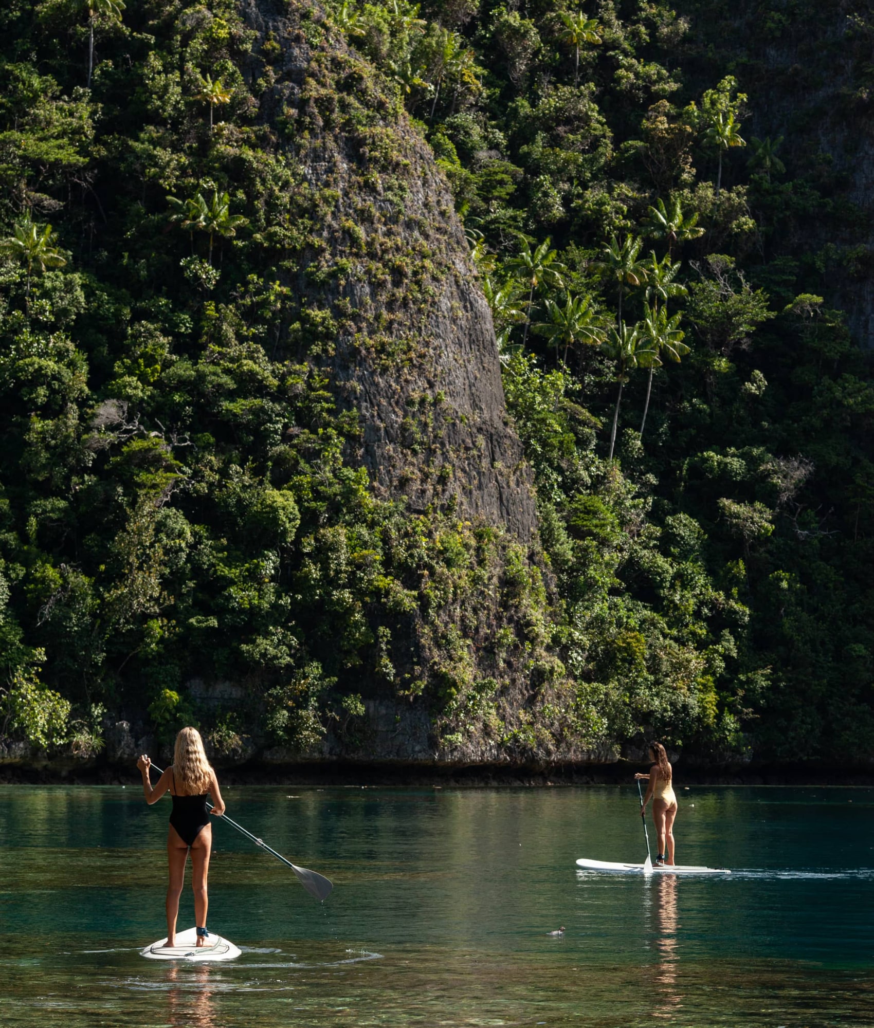 Two guests stand-up paddle-boarding through a hidden jungle lagoon in Raja Ampat