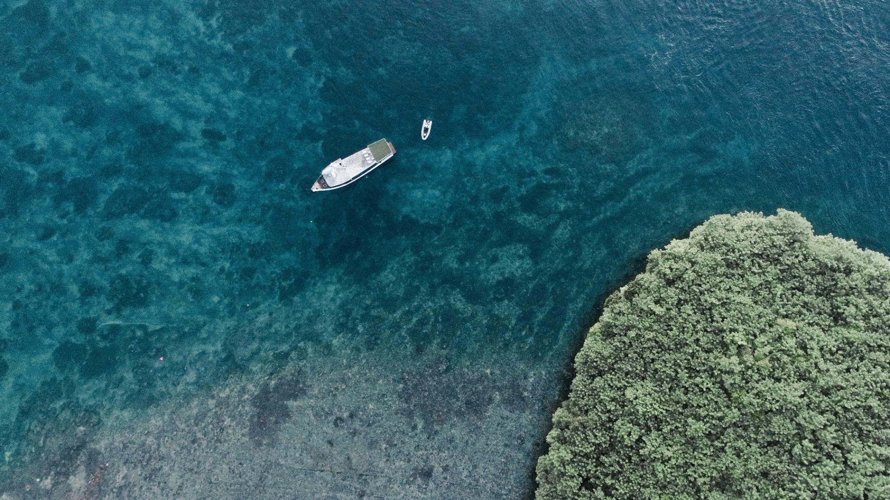 Aerial view of Splendour and tender moored over shallow reef beside dense green mangroves