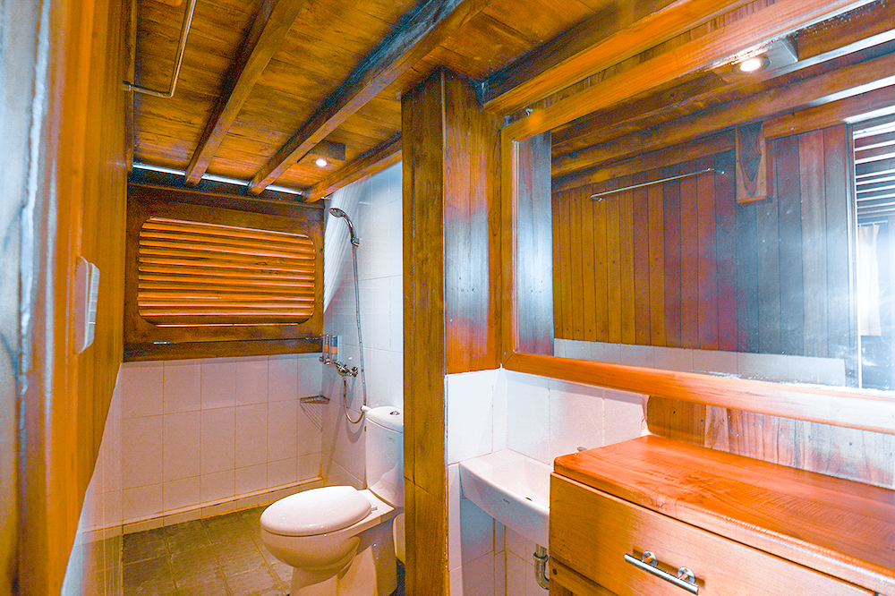 Ensuite bathroom on Adishree with teak walls, a walk-in shower and a wooden vanity