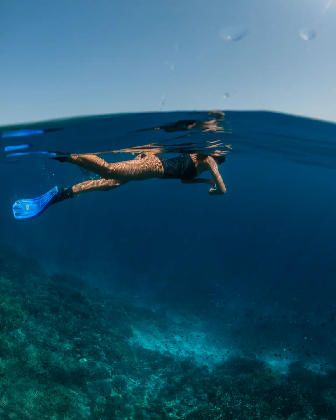 Split-level snorkelling shot over Raja Ampat reef from Celestia