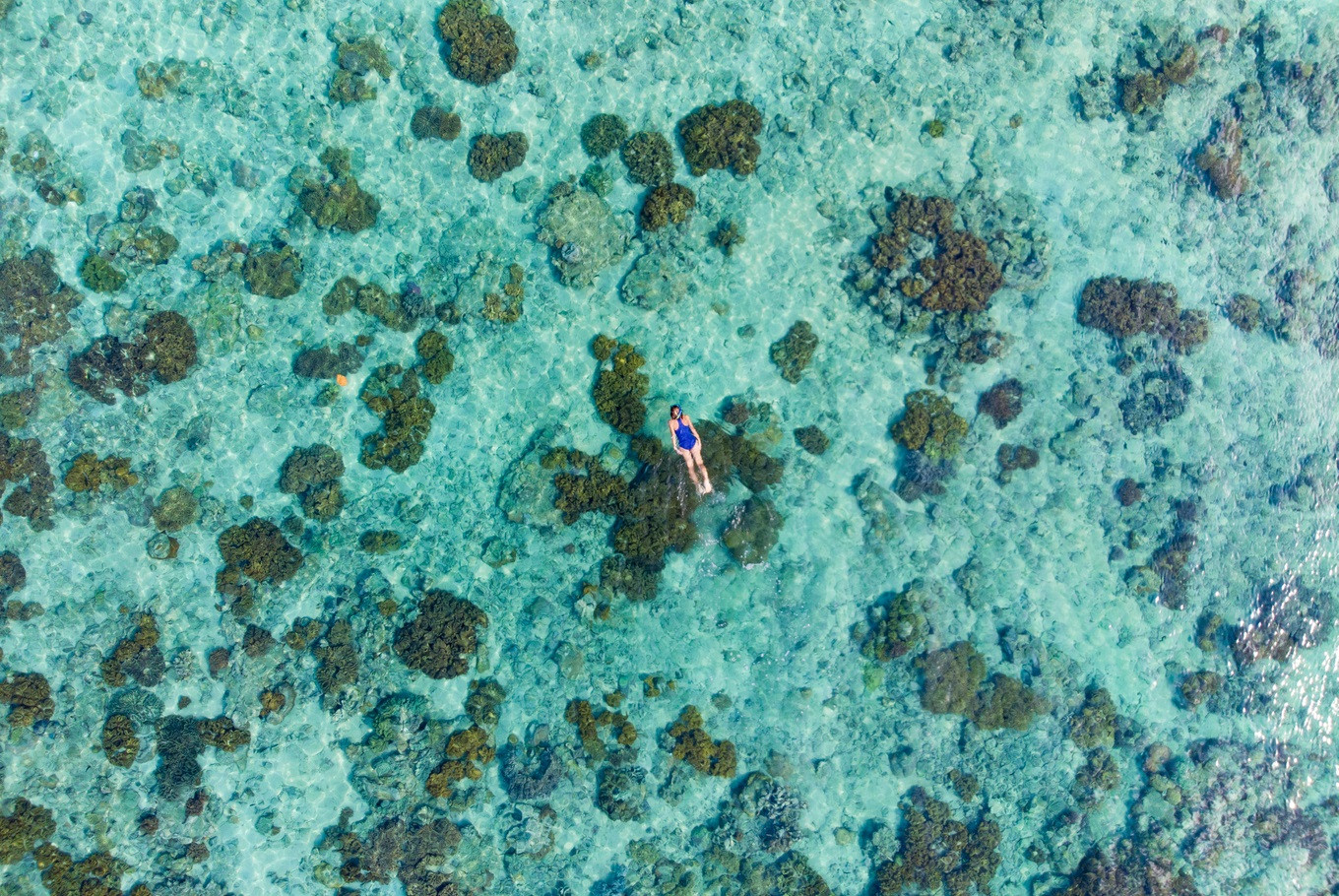Aerial view of a snorkeler drifting over turquoise coral gardens