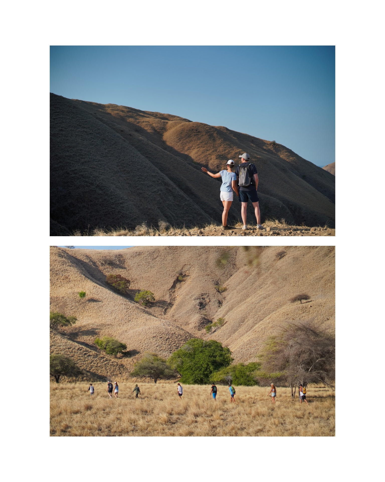 Guests trekking through Komodo's golden savannah hills with views across the dry island landscape